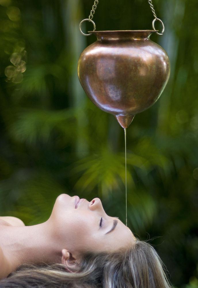 Gaia Retreat & Spa Brooklet エクステリア 写真